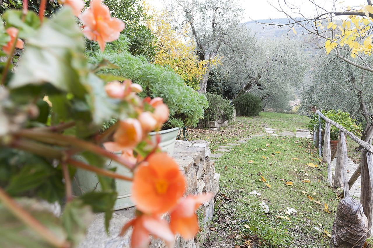 Arredo giardino Sesto Fiorentino